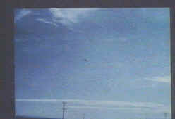 CE_1977-07-26UruguayMaldonado2
